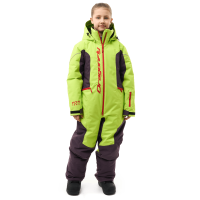 Dragonfly Комбинезон утепленный Gravity Teenager Lime - Plum 2025 в Архангельске