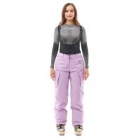 Dragonfly Штаны горнолыжные утепленные Gravity 2025 Woman Purple в Архангельске
